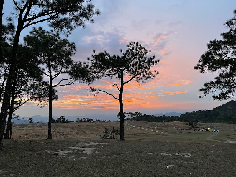 Hình ảnh Đồi cỏ Masara - 3