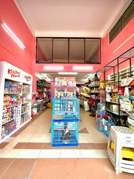 Hình ảnh Cắt Tỉa Chó Mèo - Chaien Pet Shop - 2
