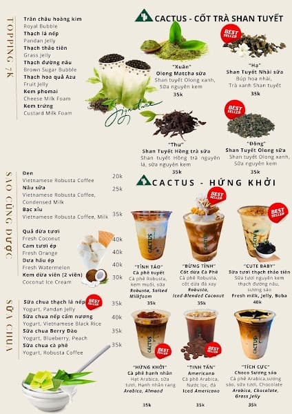 Hình ảnh Cactus Phan Chu Trinh - 3