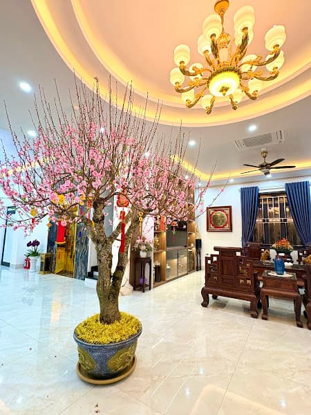 Hình ảnh NHÀ HÀNG LÝ THÀNH 1 - 4