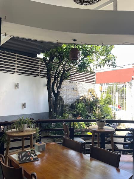 Hình ảnh chay Bồ Đề - 3