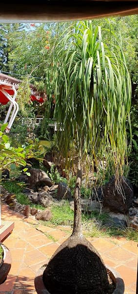 Hình ảnh Nhà Hàng Biển Hồ Xanh - 4