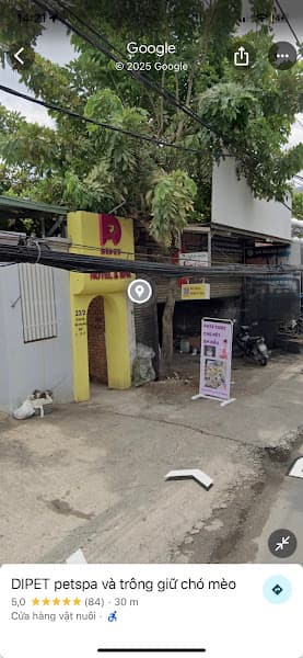 DIPET petspa và trông giữ chó mèo