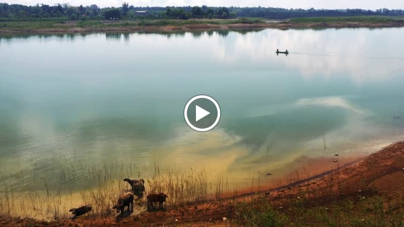 Hình ảnh Napy Garden - Nhà hàng & Glamping ven hồ Trị An - 3