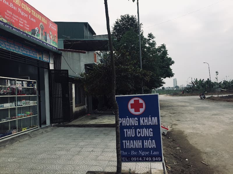 Hình ảnh Phòng khám thú cưng Thanh Hoá- Ths.Bs Ngọc Lan - 4
