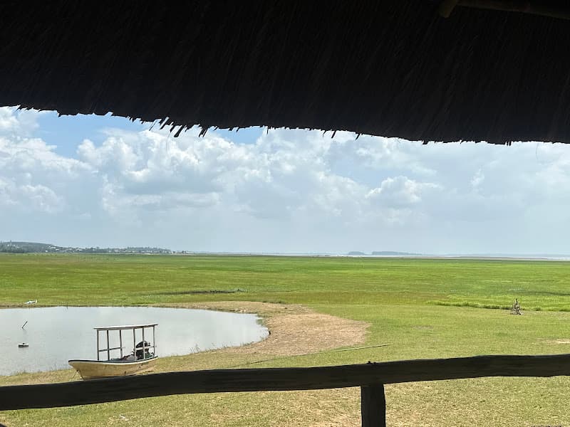 Hình ảnh River Hills camping - 5