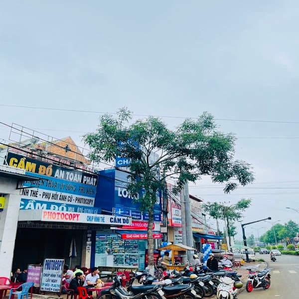 Hình ảnh Nhà Thuốc FPT Long Châu - 3