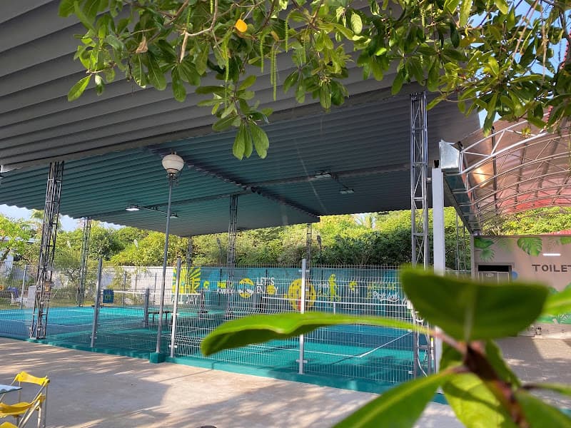 Hình ảnh Ti 911 Pickleball - 3