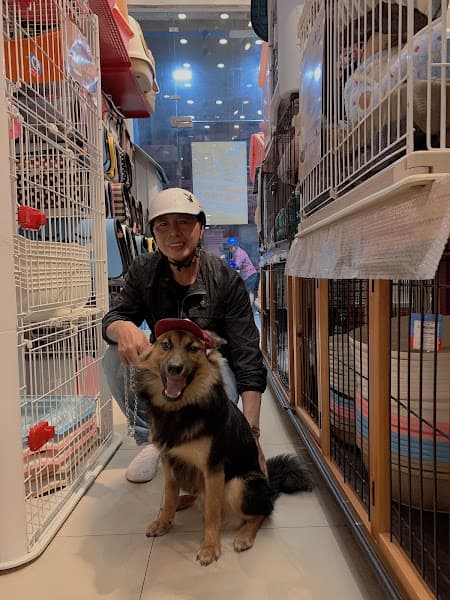 Hình ảnh Pet Hotel - Khách sạn trông giữ chó mèo TP.HCM - 2