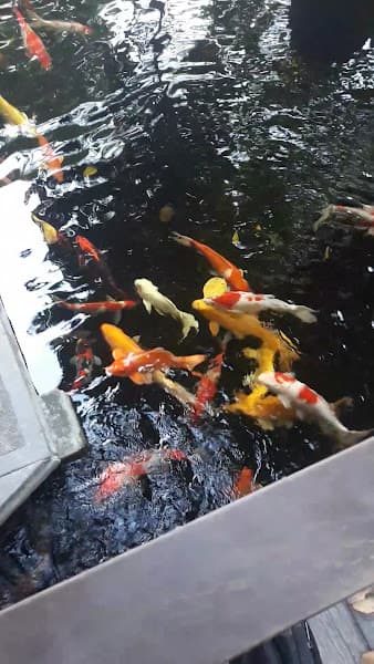 Hình ảnh Cà phê Thiên Trang - 4