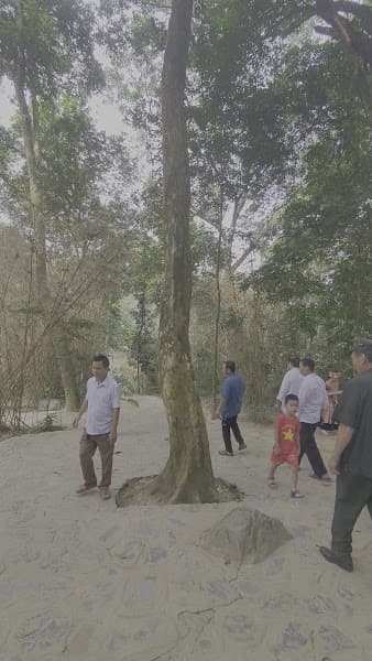 Hình ảnh Lán Nà Nưa - 5