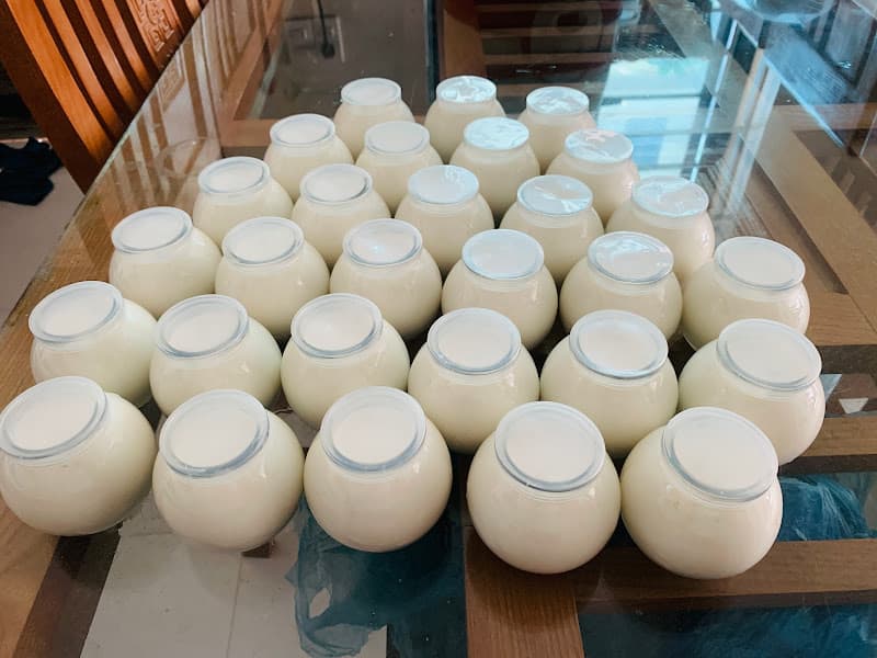 Hình ảnh Yến Sào Phúc Vinh - 4