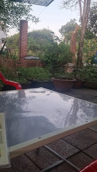 Hình ảnh Gỏi cá Trích (8 Cường) - 3