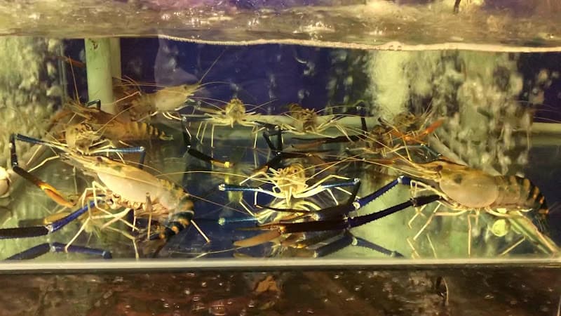 Hình ảnh Nhà Hàng Ẩm Thực 39 - 5