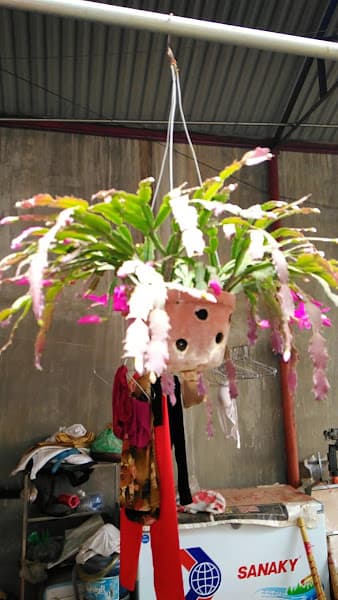 Hình ảnh Nhà Hàng Hải Tình - 6