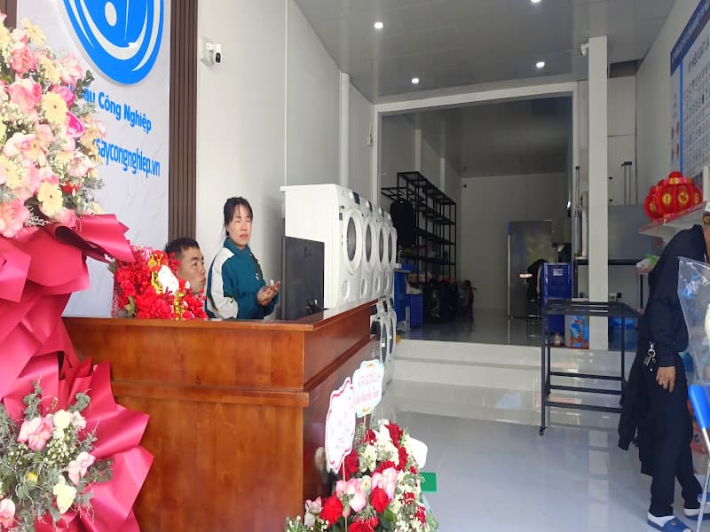 Hình ảnh Giặt Sấy Công Nghiệp Tây Nguyên - 2