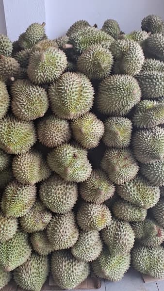 Hình ảnh Vườn trái cây cô Huyền - 3