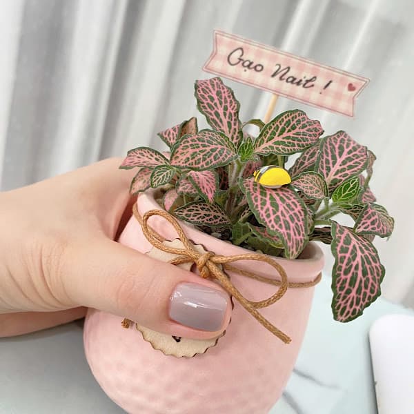 Hình ảnh Gạo Nail: manicure, pedicure, eyelash, eyebrows, hair wash, dye hair - 2