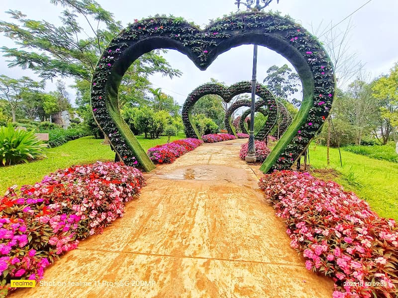 Hình ảnh Vườn hoa thành phố Đà Lạt - 4