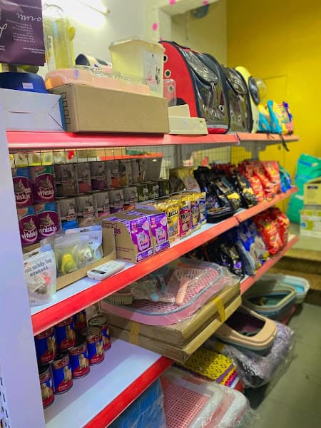 Hình ảnh Tiệm Chó Mèo An Yên - chuyên thức ăn và phụ kiện thú cưng - 2