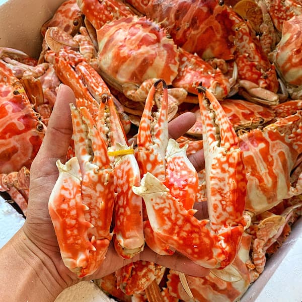 Hình ảnh Huỳnh Như - Hải Sản & Ăn Vặt - 4