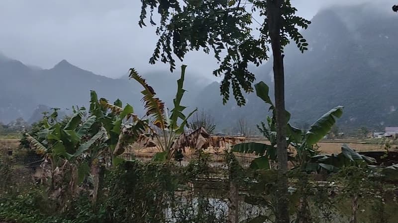 Hình ảnh Bờ hồ Homestay - 2