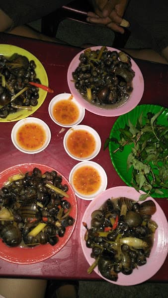 Hình ảnh Hải Lươn - 2