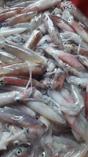 Hình ảnh Nhà Hàng Hải Sản Nam Bình - 3