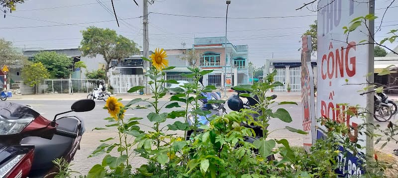 Hình ảnh Thú Y Cộng Đồng - 4