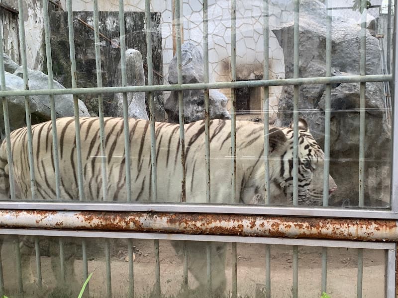 Hình ảnh Vườn Thú Hà Nội - 4