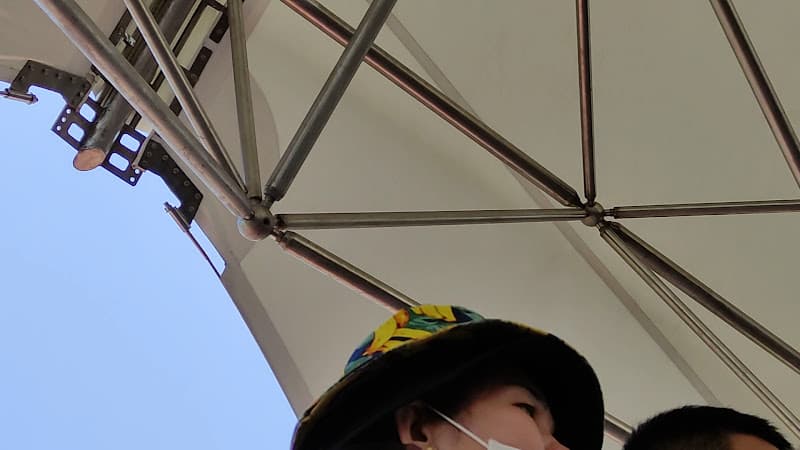 Hình ảnh Di tích bãi cọc Cao Quỳ - 6