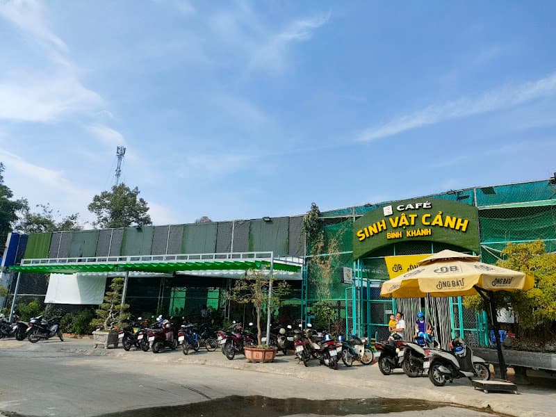 Cà phê Sinh vật cảnh Bình Khánh