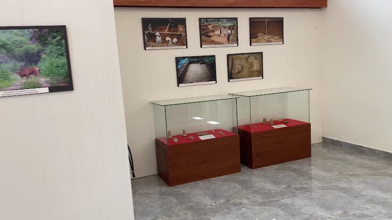 Hình ảnh Di tích quốc gia đặc biệt Khảo cổ Cát Tiên - 6