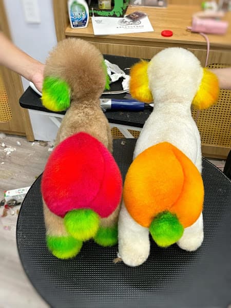 Hình ảnh Pet Shop Rạch Giá - SUKENPET - 3