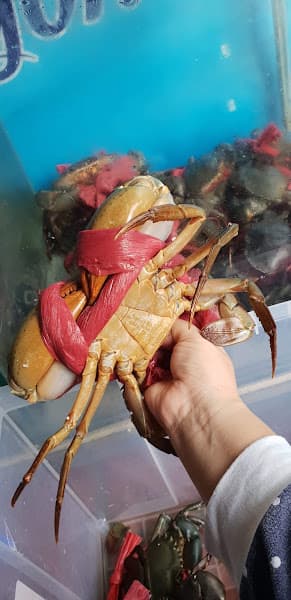 Hình ảnh Hải Sản THUẬN LỢI - 2