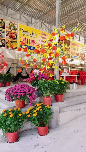 Quán ăn Nhật linh, gà đốt, bánh xèo, thốt nốt