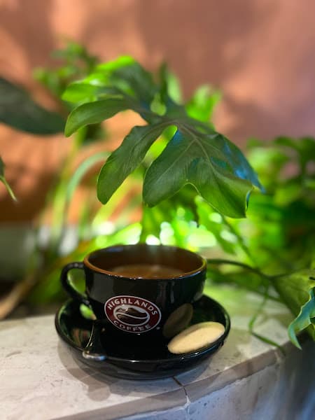 Hình ảnh Highlands Coffee - 2