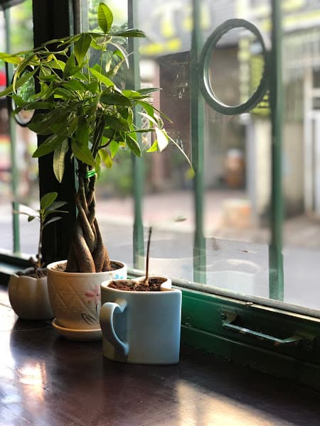 Hình ảnh Green Coffee - 5