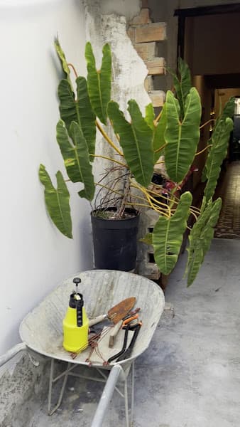 Hình ảnh Phe.in Coffee & More - 3