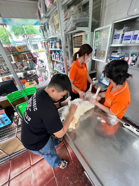 Hình ảnh Phòng mạch thú y PetPlus - Cần Thơ - 3