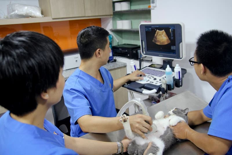 Hình ảnh Bệnh viện Thú y 2vet - Nghệ An - 3