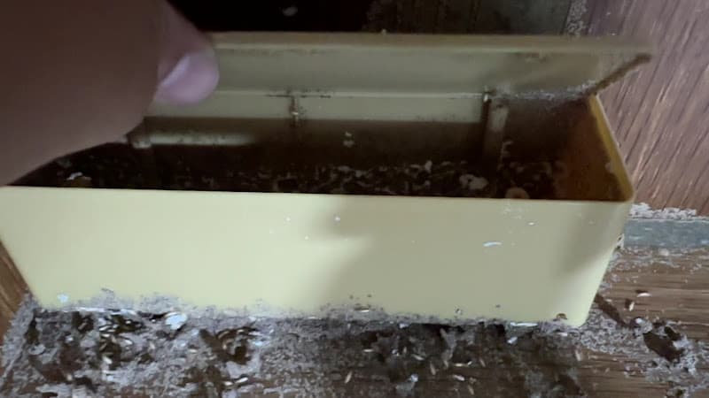 Hình ảnh Coffee Cây See 24h - 3
