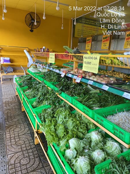 Hình ảnh Siêu thị Bách Hoá XANH Hoà Ninh - 4