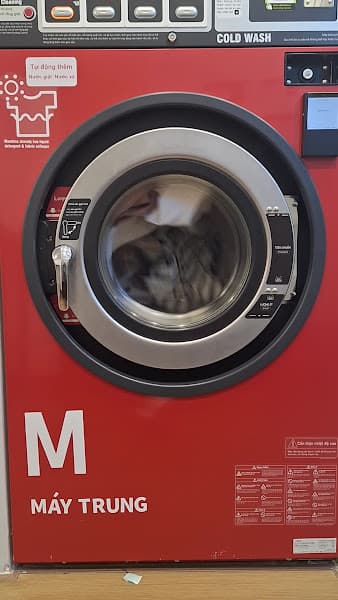 Hình ảnh SESA Coin Laundry Cửa hàng giặt sấy tự động - 2