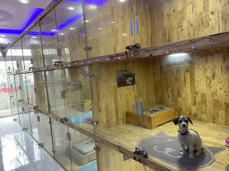 Hình ảnh Thế Giới Thú Cưng Buôn Ma Thuột - 6