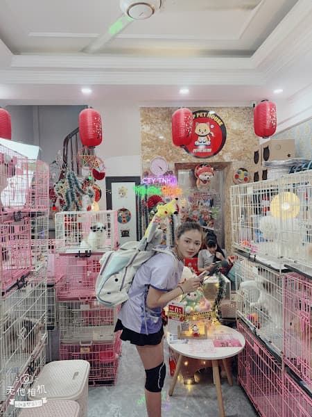 Hình ảnh Shop Thú Cưng Mập Pet House | Địa Chỉ Bán Chó Mèo Cảnh & DV Khách Sạn Thú Cưng Uy Tín - 5