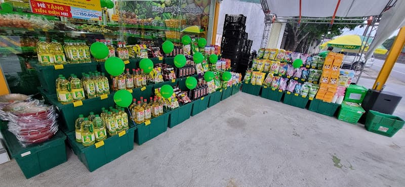 Hình ảnh Bách Hóa Xanh Chợ Cầu - Cẩm Lộc - 8