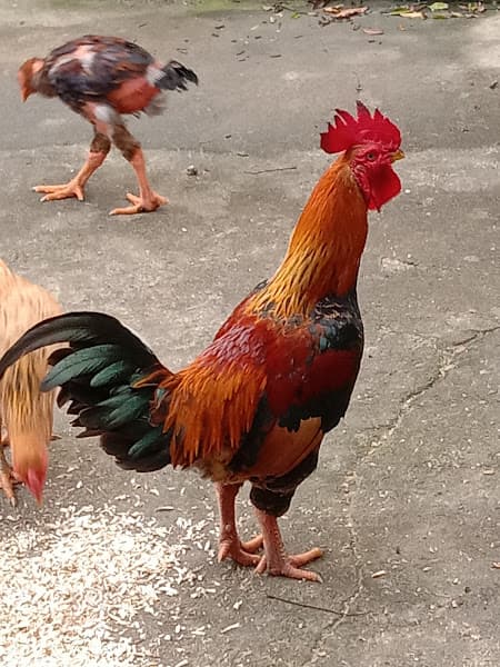 Hình ảnh Khu di tích trụ sở Bộ Giao Thông Vận Tải - 4