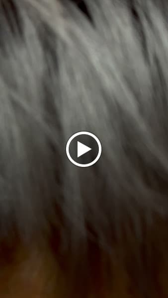 Hình ảnh HỚT TÓC LÂM 2 - 3