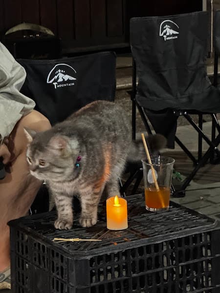 Hình ảnh Matcha Doca - 3